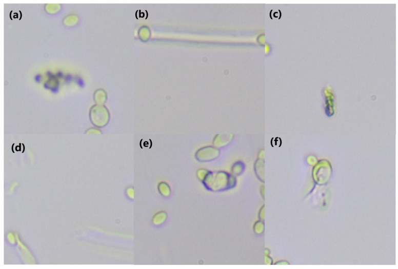 Figure 9
