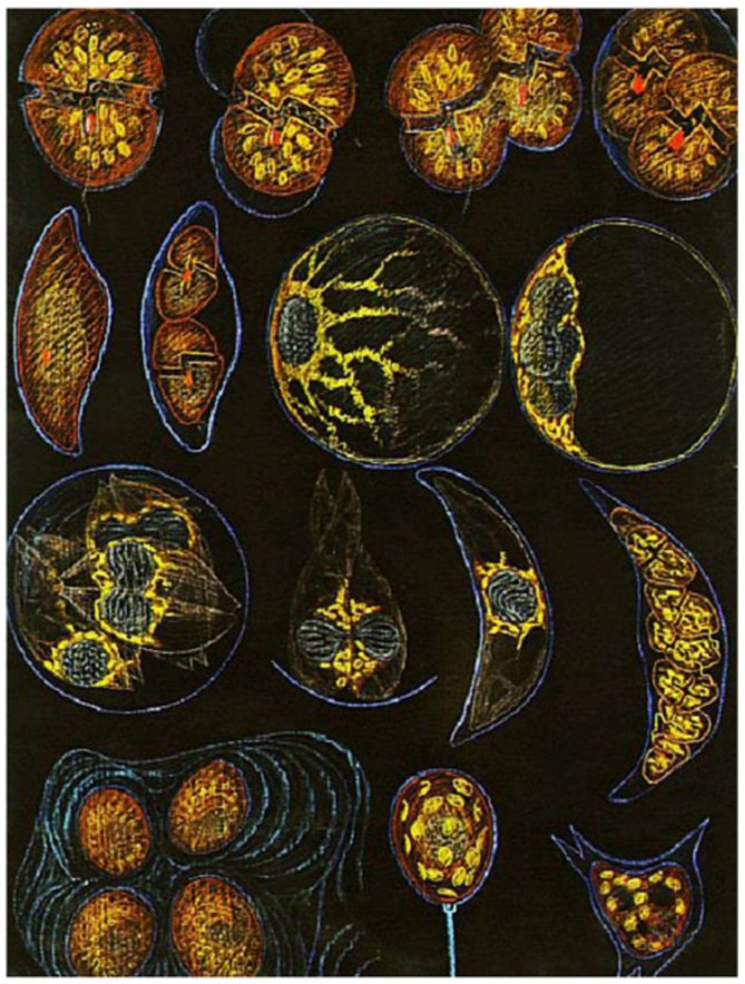 Figure 13