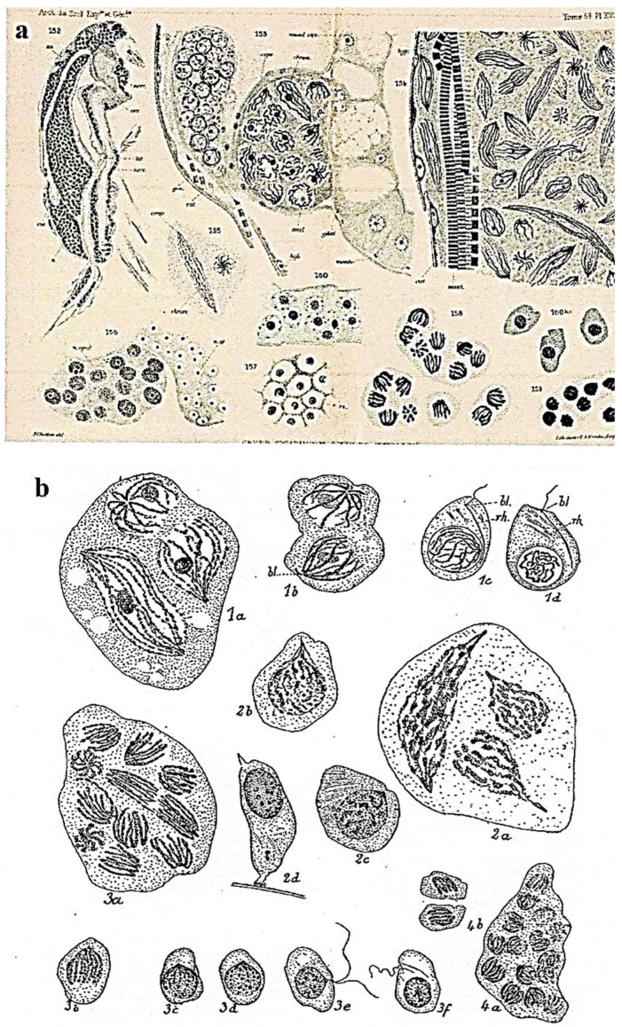 Figure 16