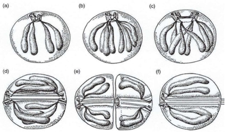 Figure 19