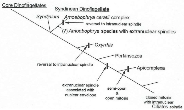 Figure 20