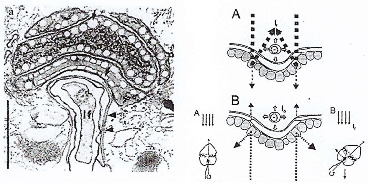 Figure 22