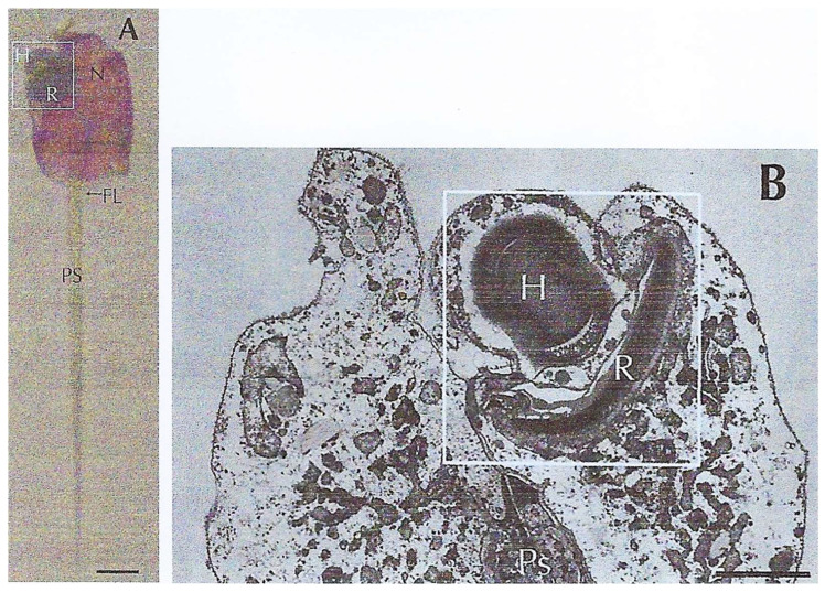 Figure 23
