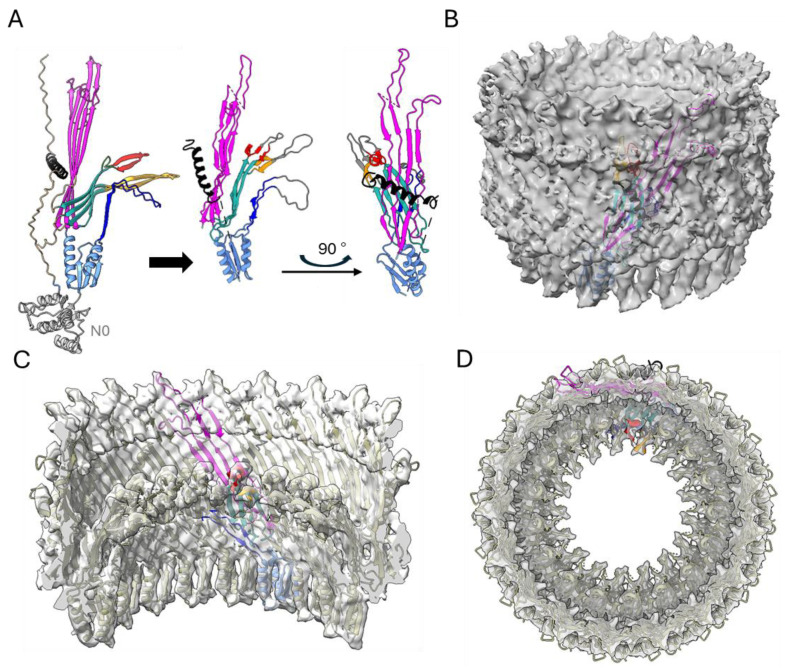 Figure 5