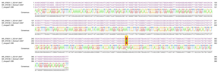 Figure 3