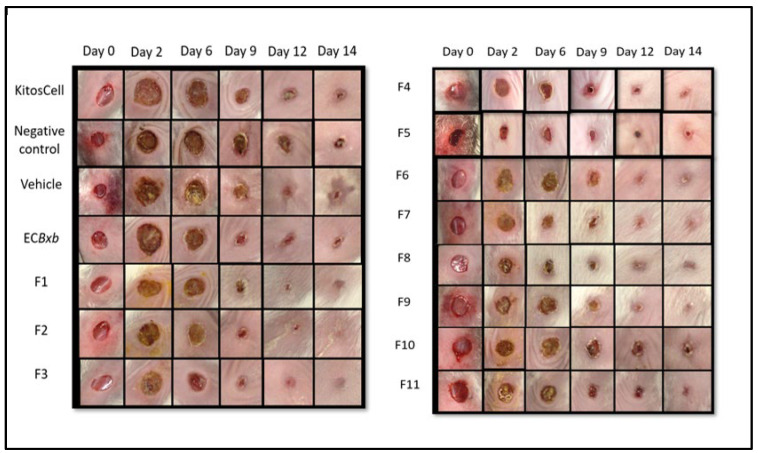 Figure 4