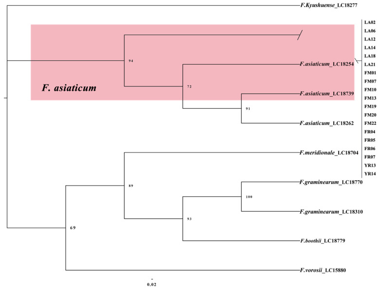 Figure 5
