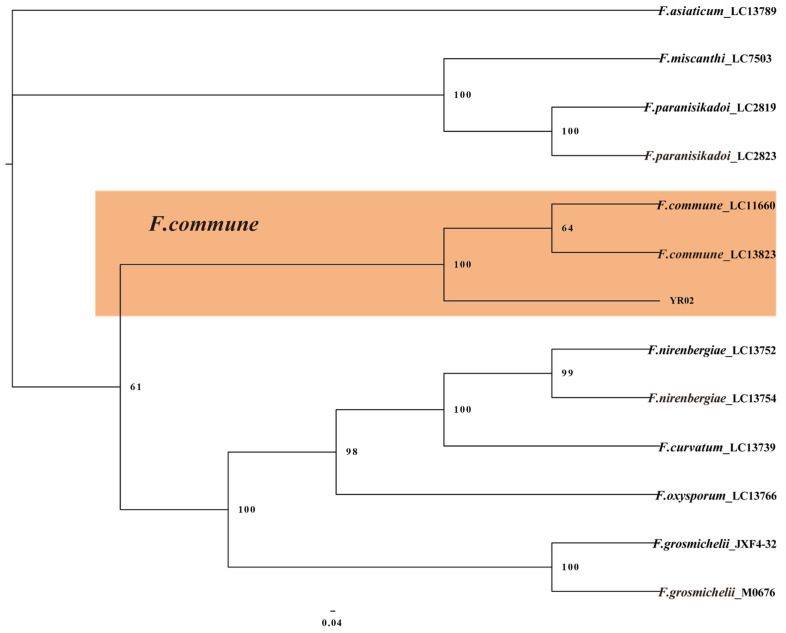 Figure 7
