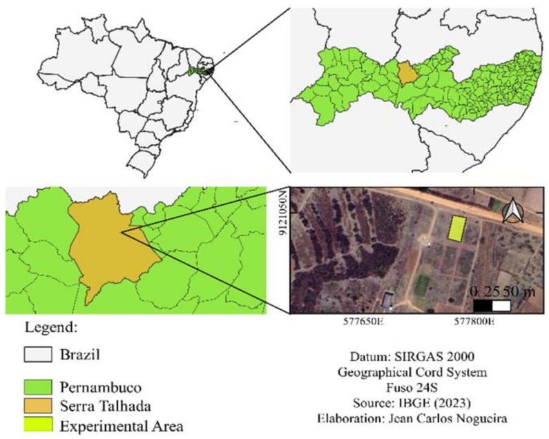 Figure 12