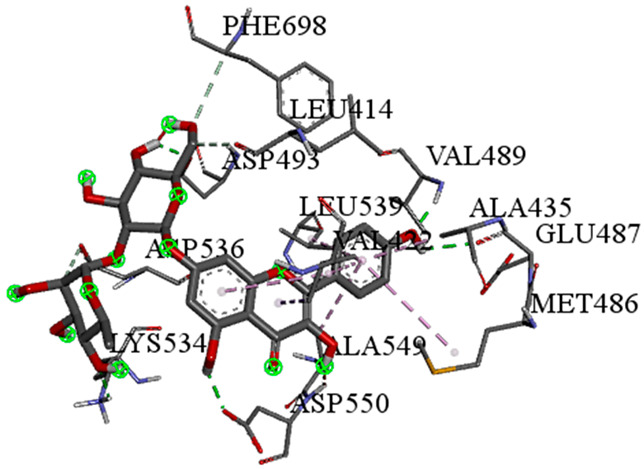 Figure 17