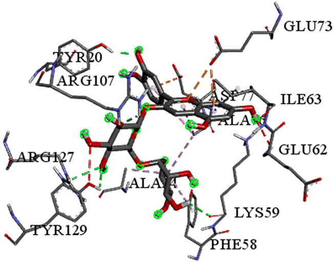 Figure 19
