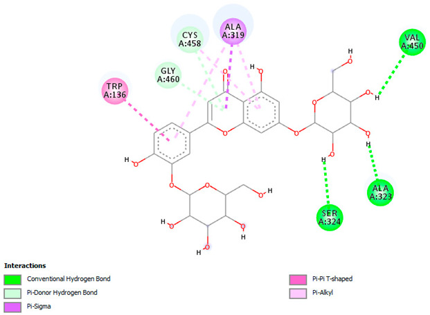 Figure 20