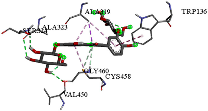 Figure 21