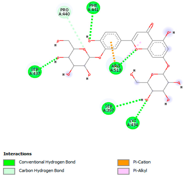 Figure 24