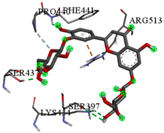 Figure 25