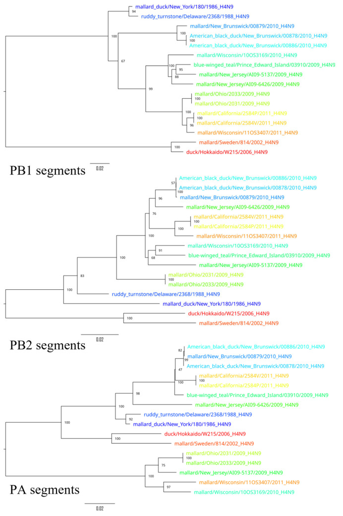 Figure 4