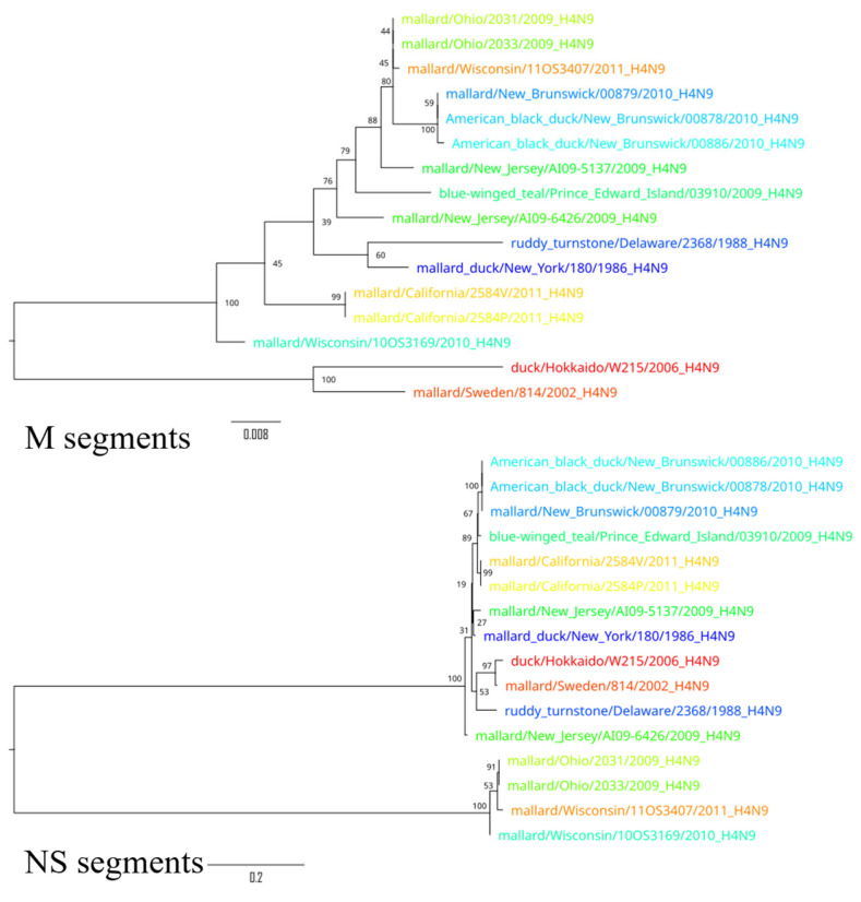 Figure 6