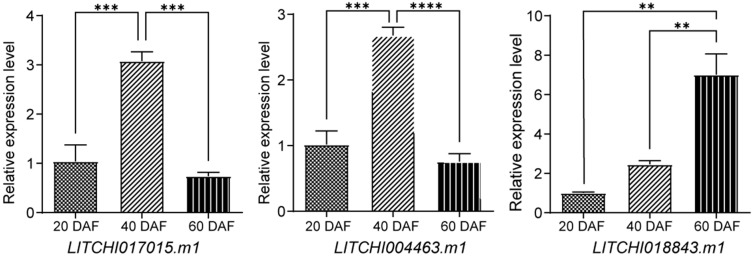 Figure 10
