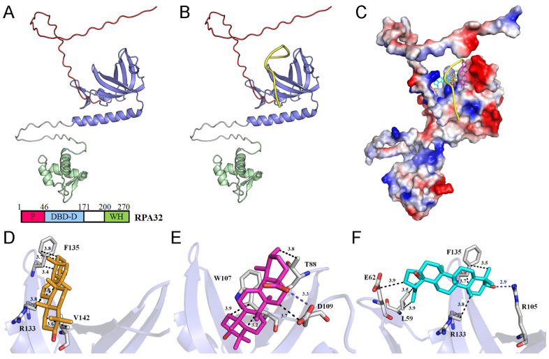 Figure 12