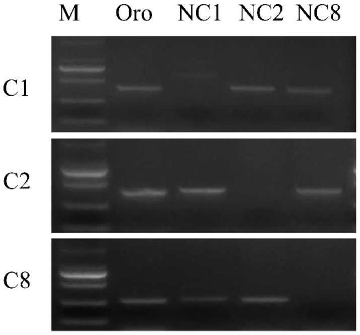 Figure 10