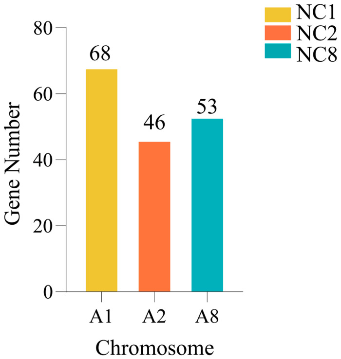 Figure 11
