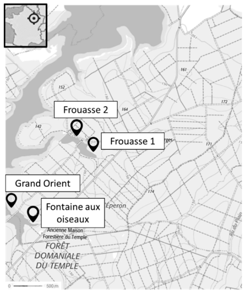Figure 11
