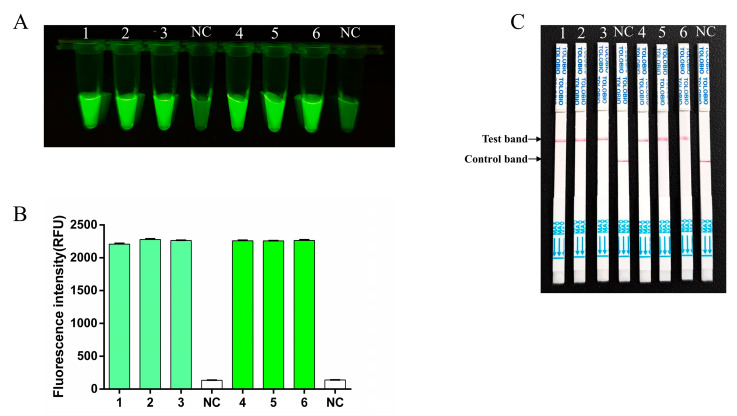 Figure 6