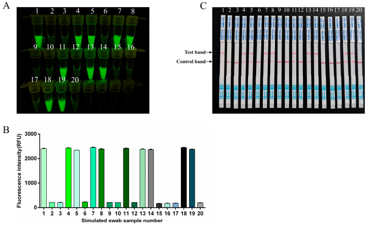 Figure 7