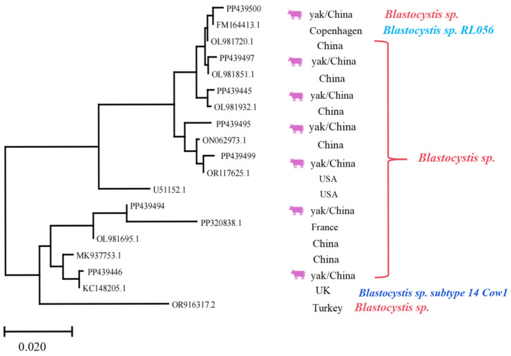 Figure 7