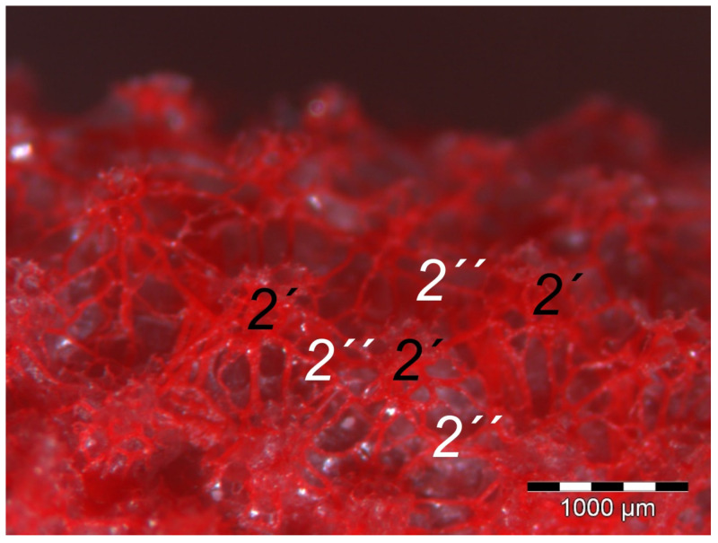 Figure 14