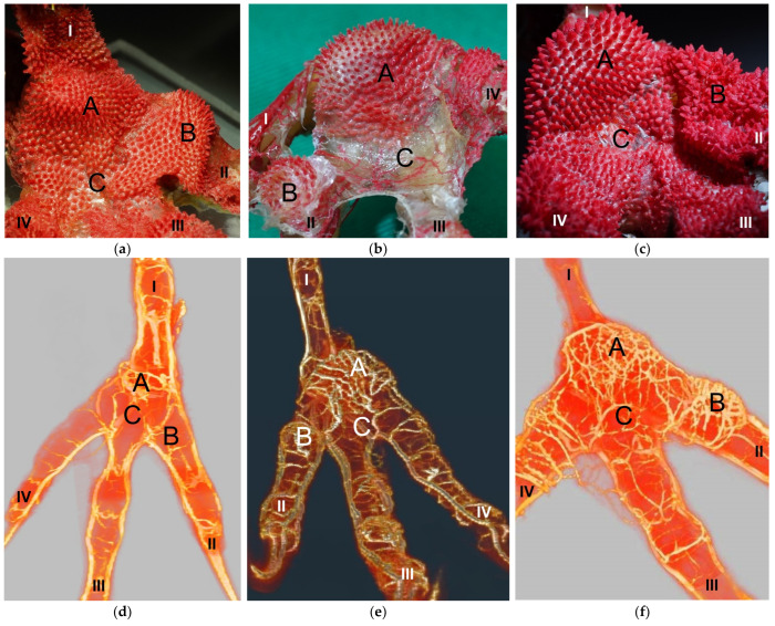 Figure 15
