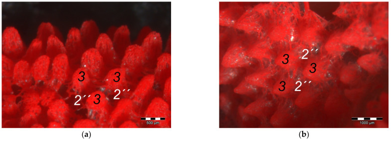 Figure 16