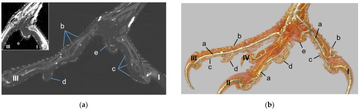 Figure 19