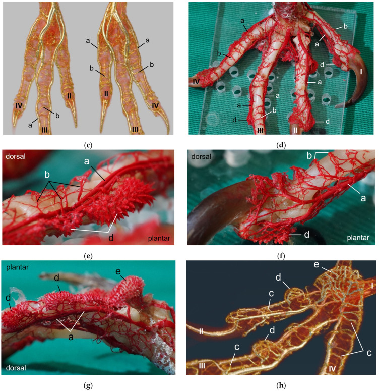 Figure 20