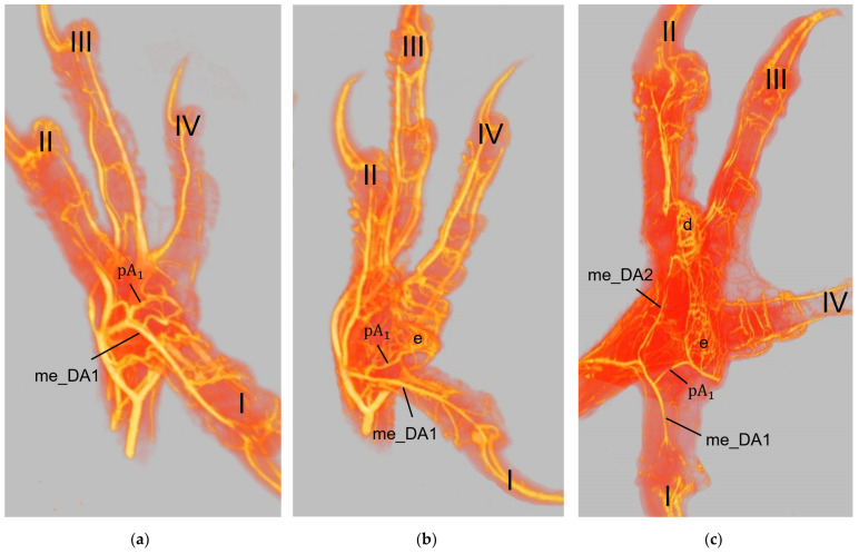 Figure 21