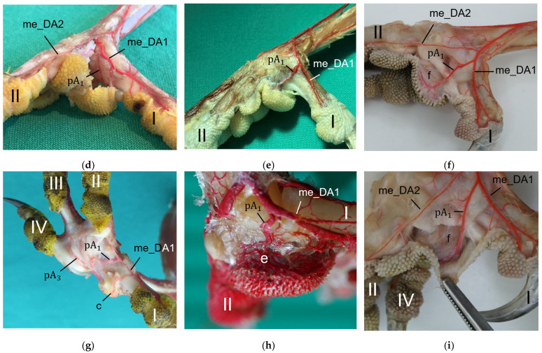 Figure 22
