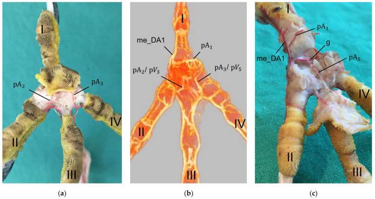 Figure 23