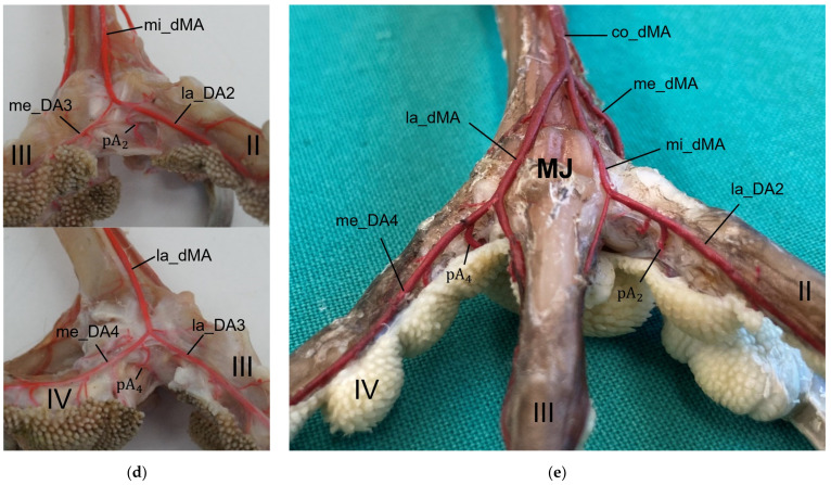 Figure 24