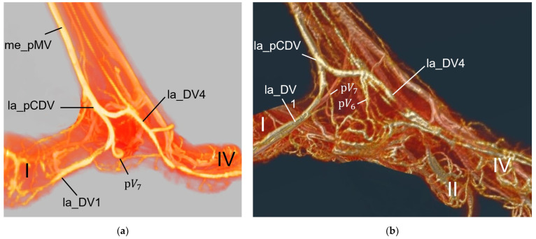 Figure 25