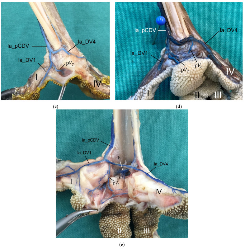 Figure 26