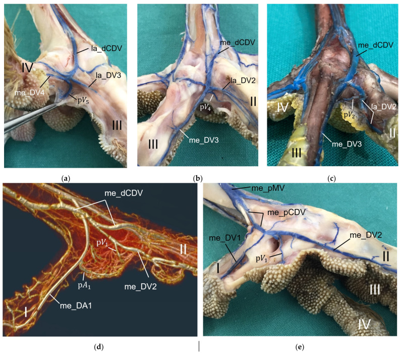 Figure 27