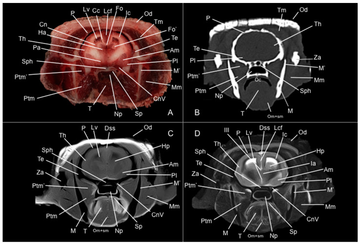 Figure 6