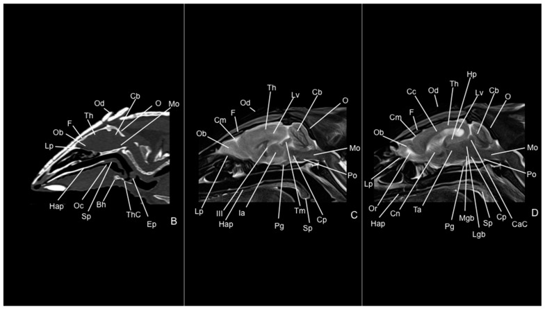 Figure 10