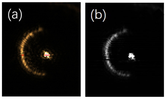 Figure 11
