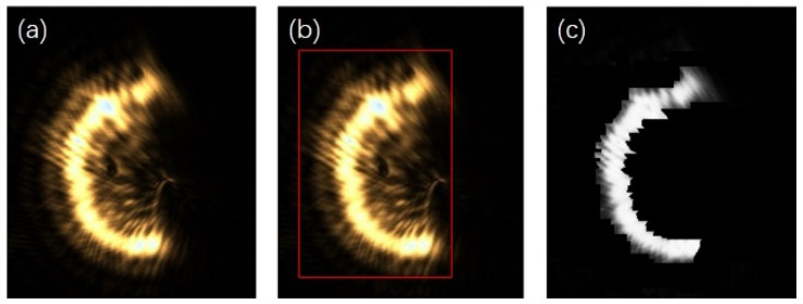Figure 12