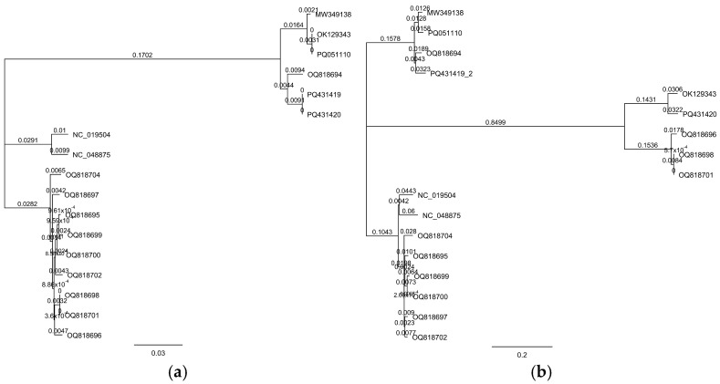 Figure 9