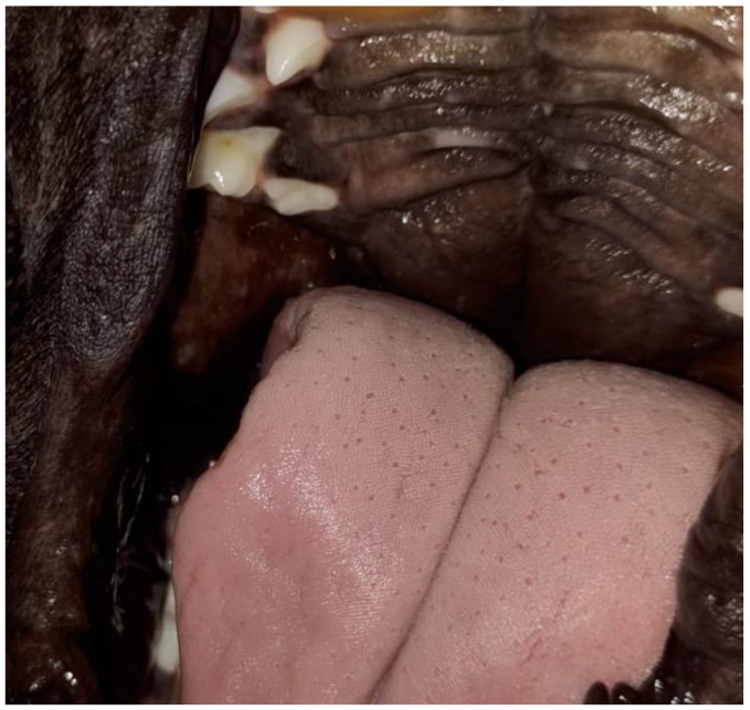Figure 9