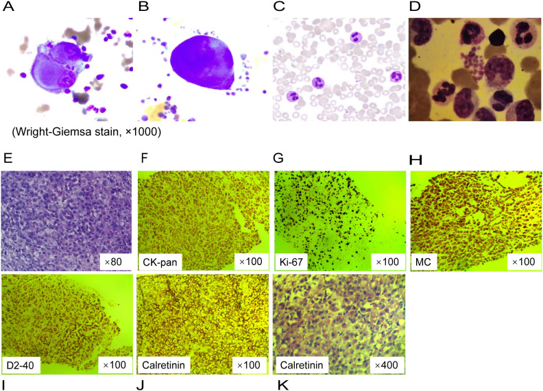 Figure 2