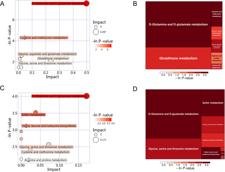 Figure 11