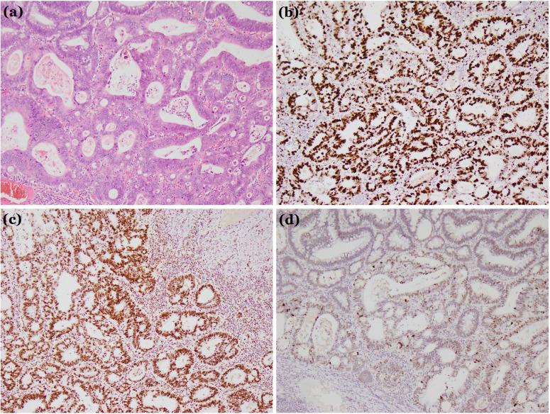 Figure 2